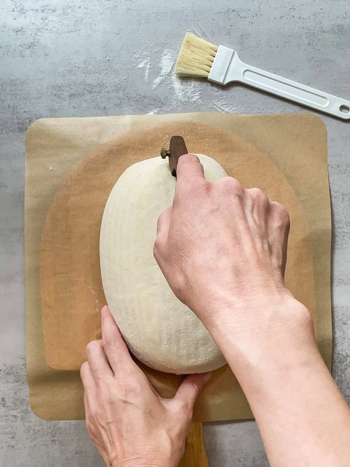 Bread dough on a parchment-lined pizza steel, with a bread lame in hand.