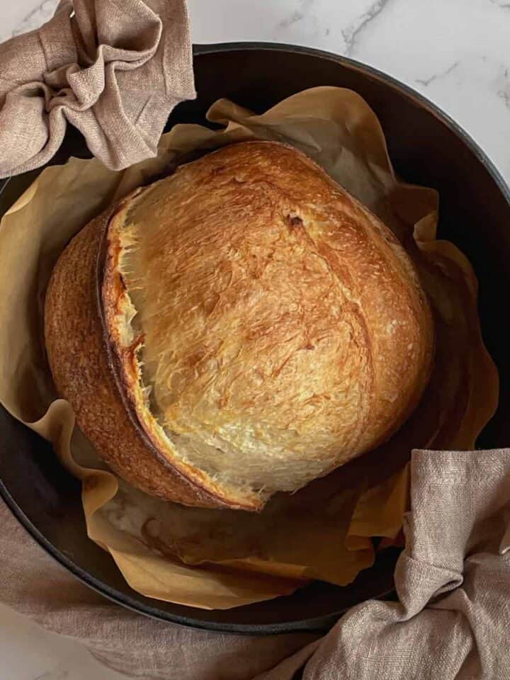 sourdough-bread-baking-blog-like-no-other-sourdoughtalk