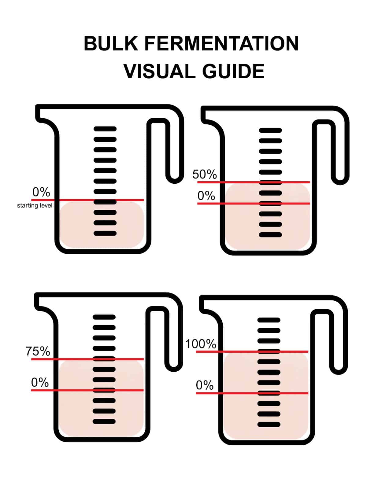 Bulk fermentation guide showing dough rising to 50%, 75%, and 100%.