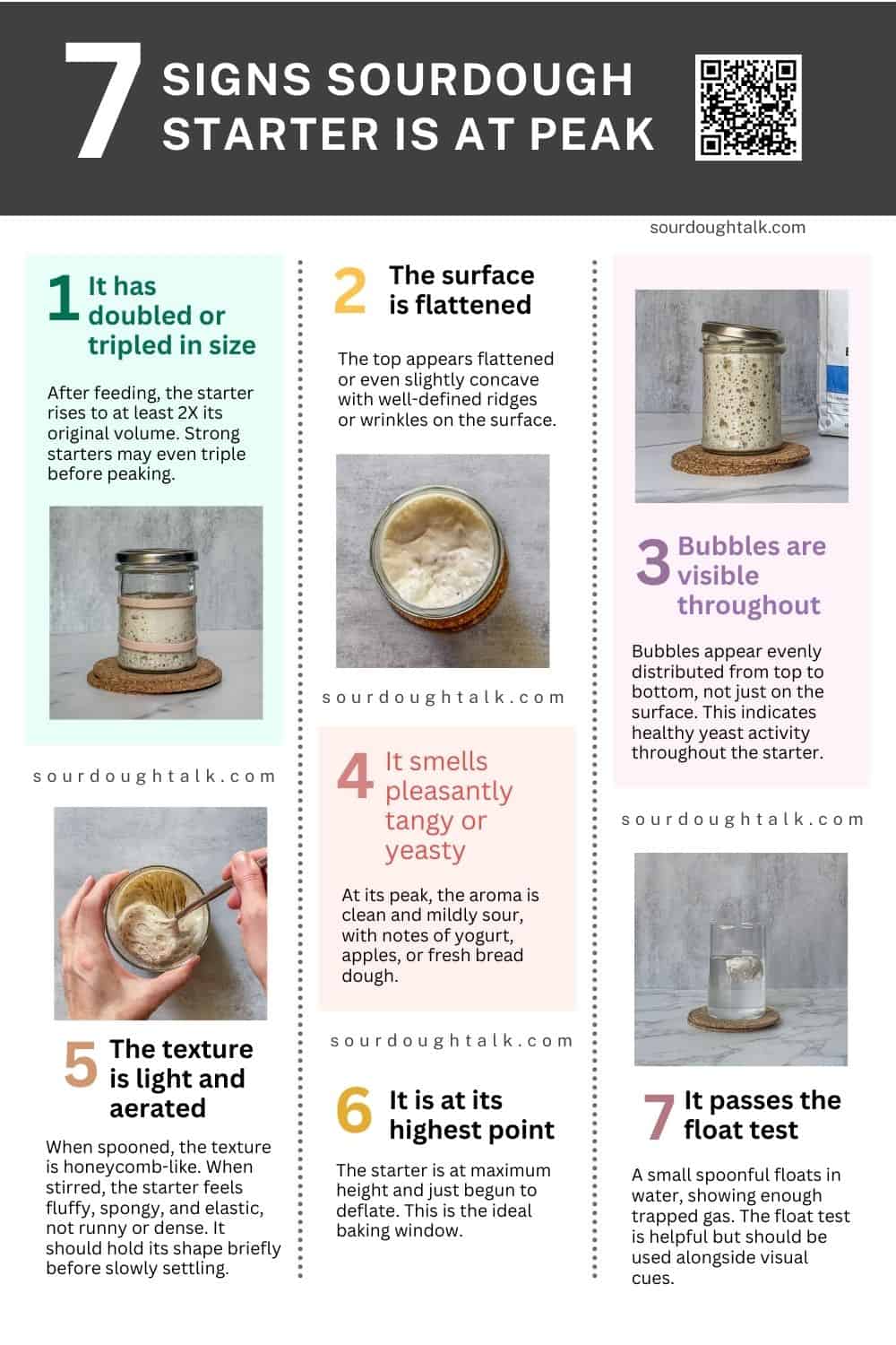 Infographic showing sourdough starter peak.