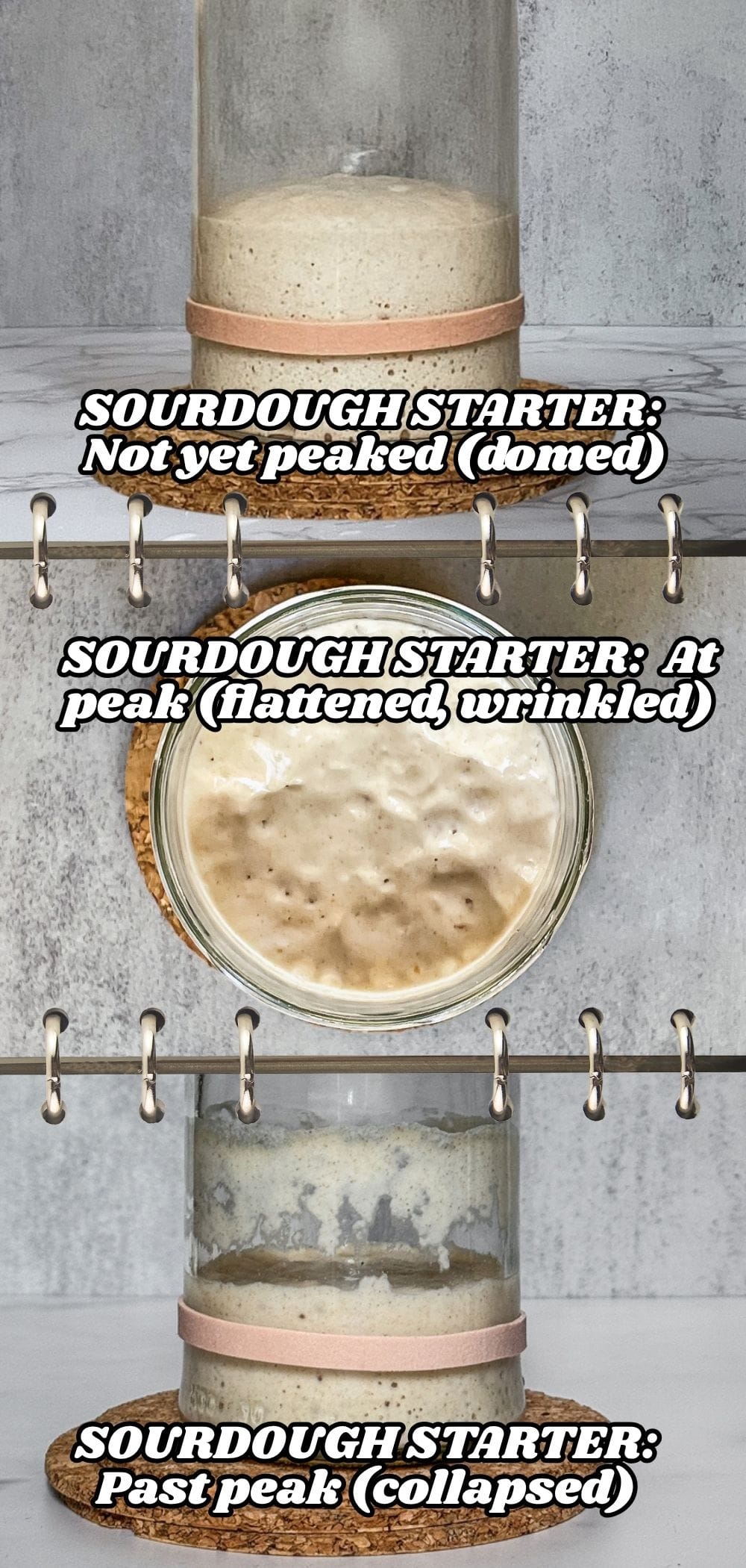 Three jars of sourdough starter side by side showing not peaked with a domed top, at peak with a flattened wrinkled surface, and collapsed past peak.