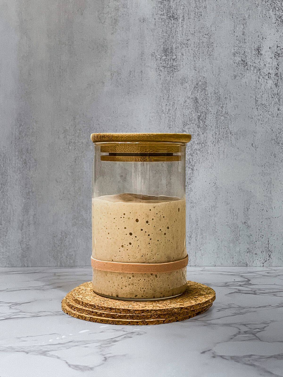 Sourdough starter at the moment it stopped rising in a glass jar.