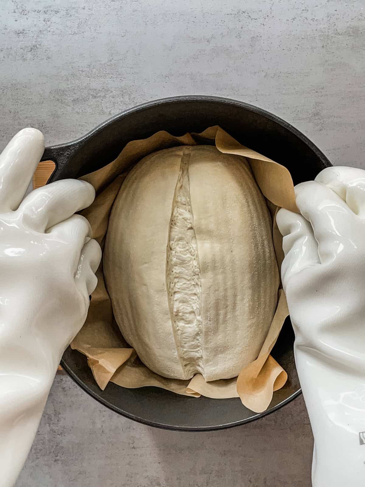 Hands in gloves placing scored dough into a Dutch oven.