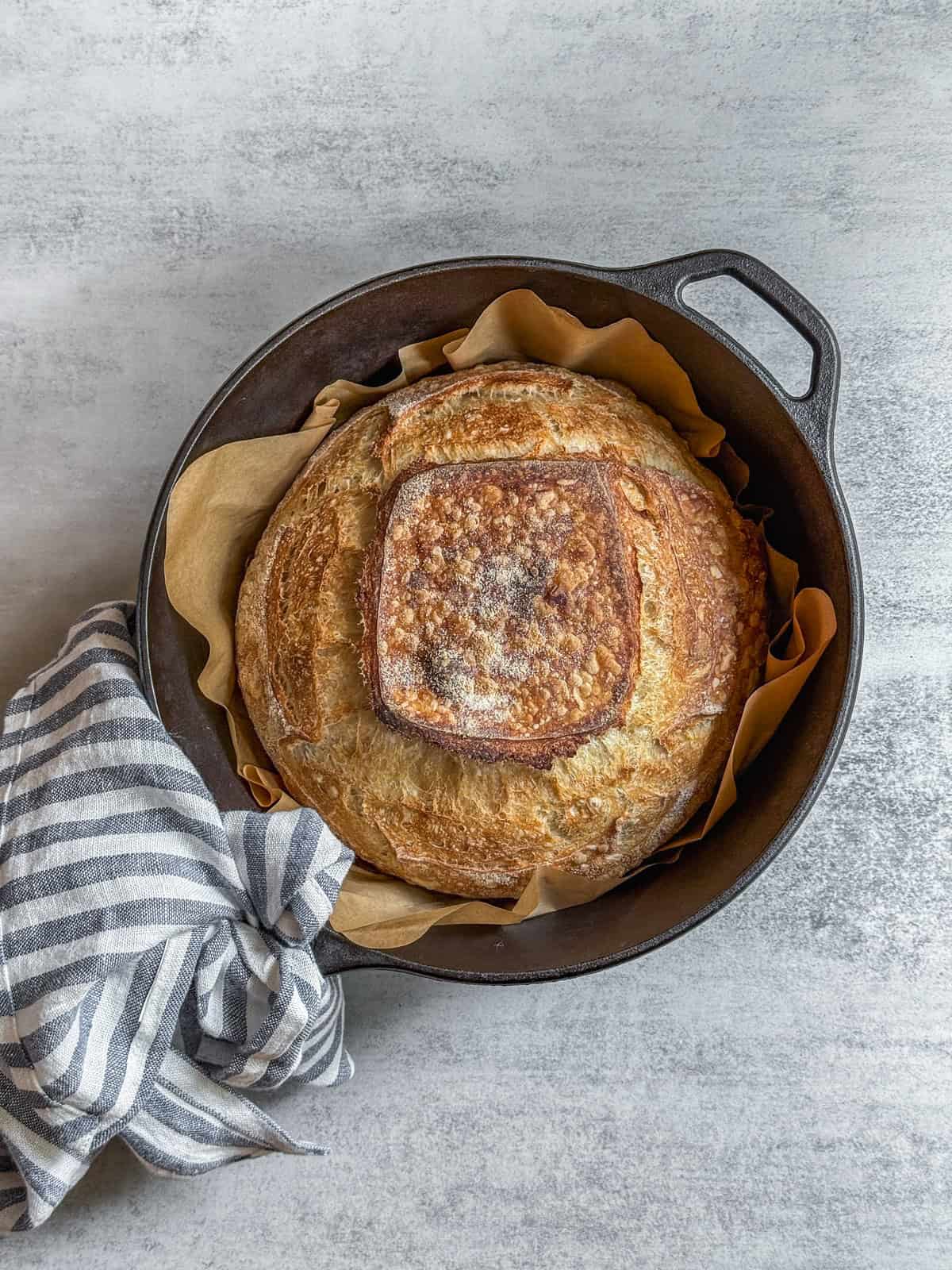 Baked beginner’s sourdough bread, scored with four slashes on top, in a Dutch oven.