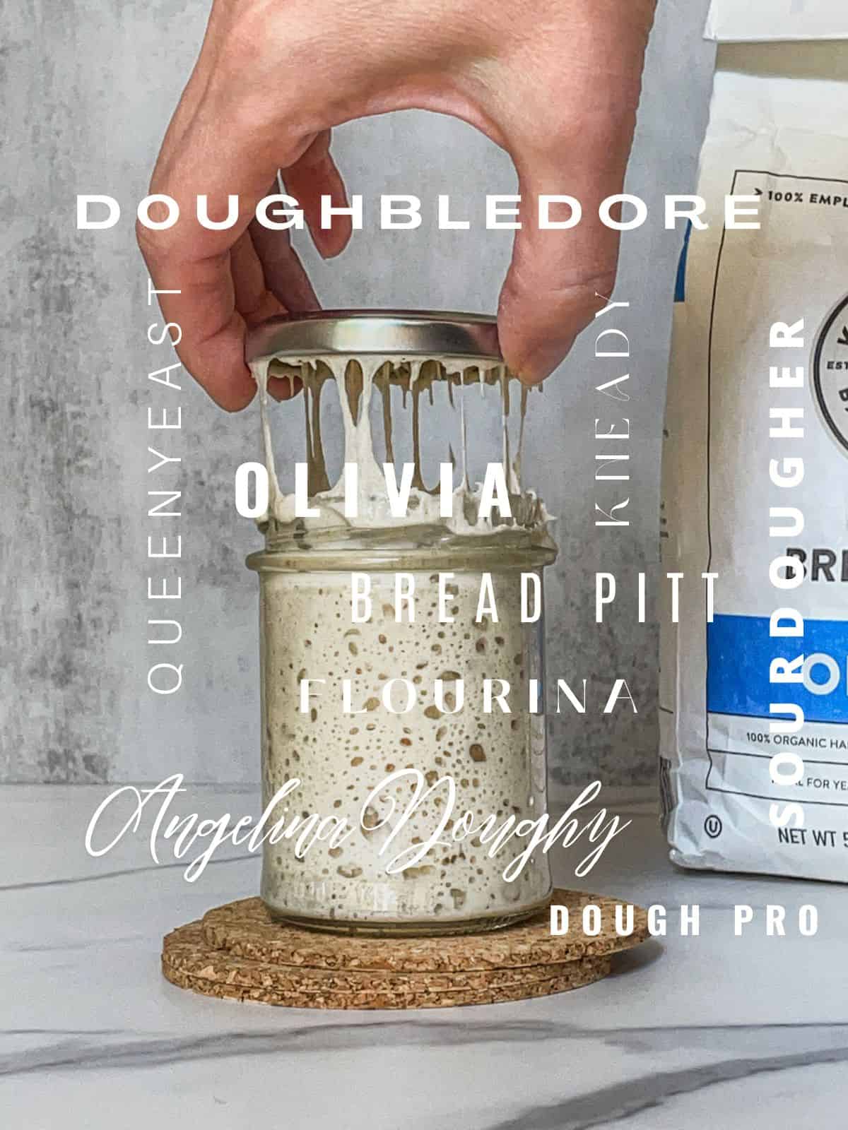 Sourdough starter names overlaid on a picture of a sourdough starter jar.