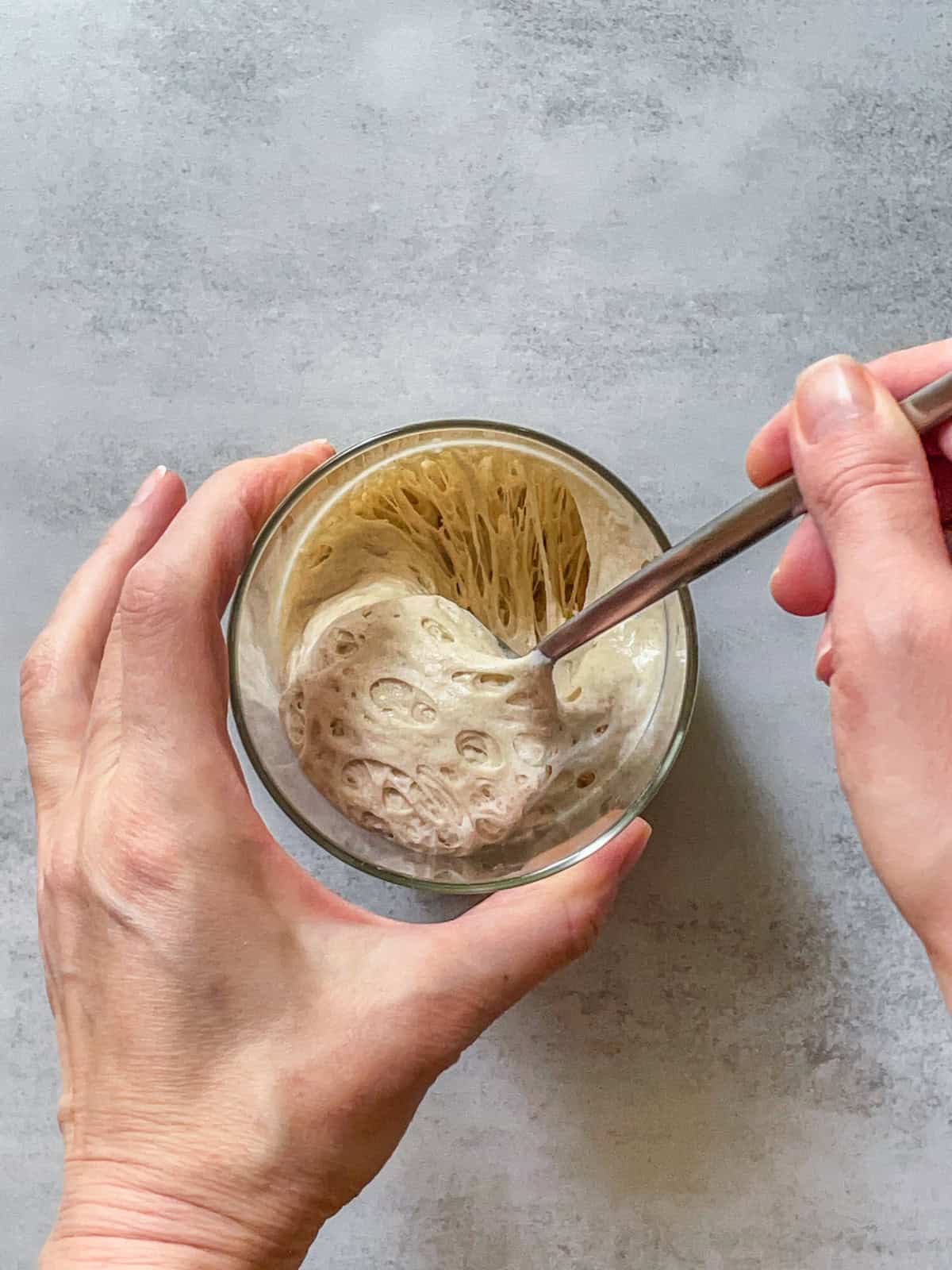 Hands holding a jar of sourdough starter with a honeycomb-like texture.