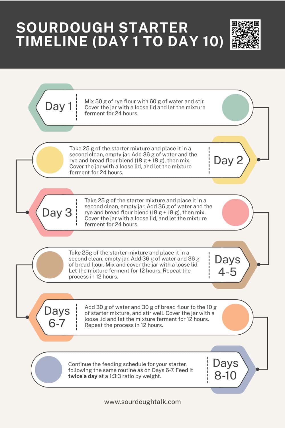 Infographic showing the sourdough starter timeline.
