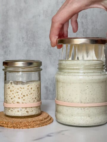 A jar of sourdough starter next to a jar of levain, with the lid being held.