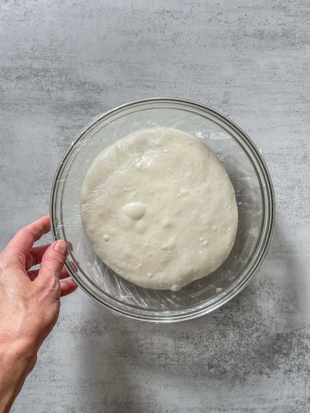 Fermented sourdough dough in a bowl covered with a plastic cap.