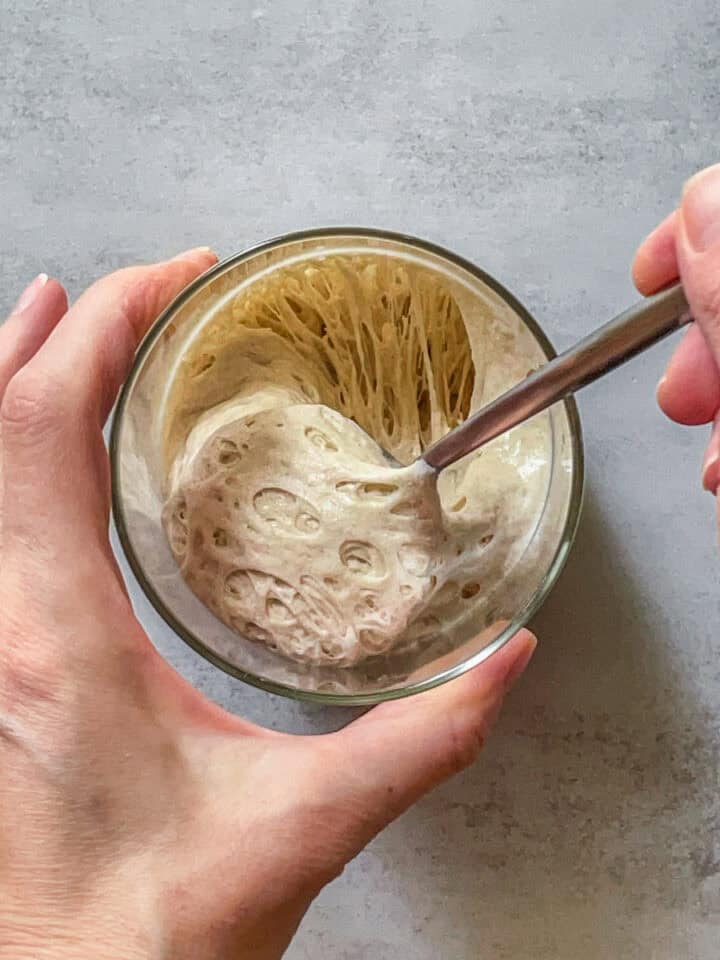 Sourdough Starter Basics Sourdoughtalk