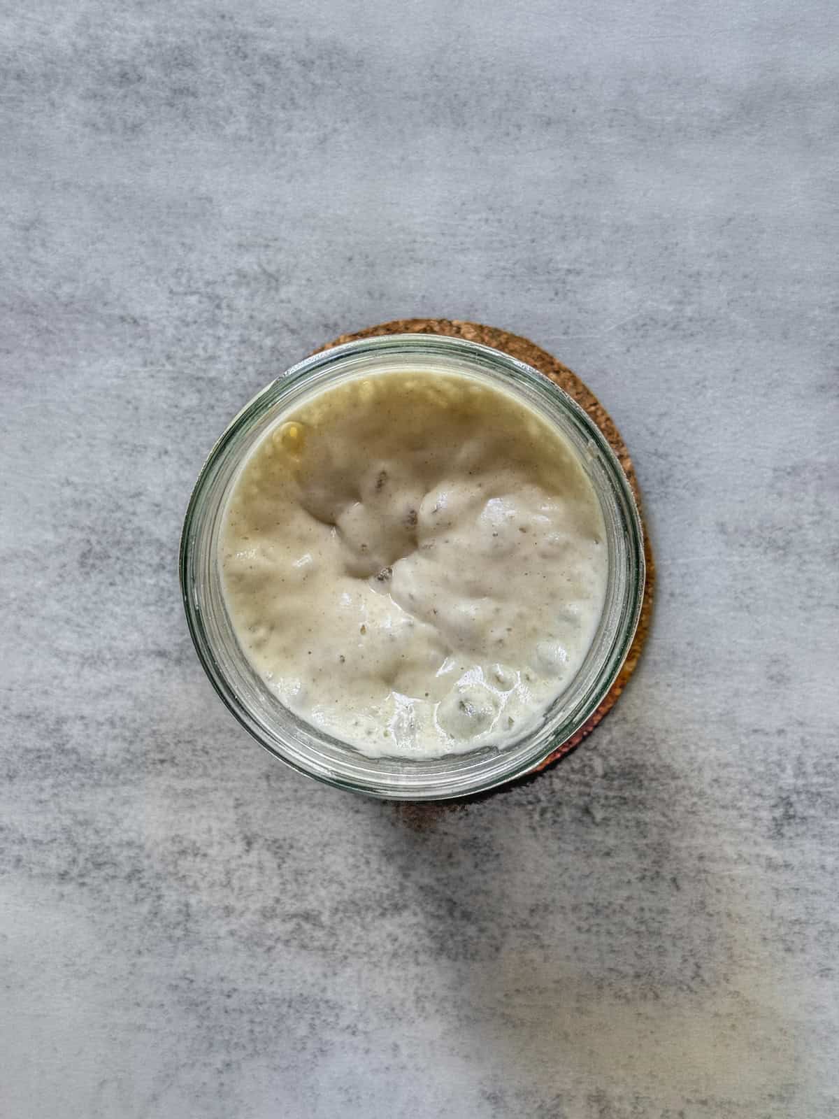 Overhead view of sourdough starter at its peak.
