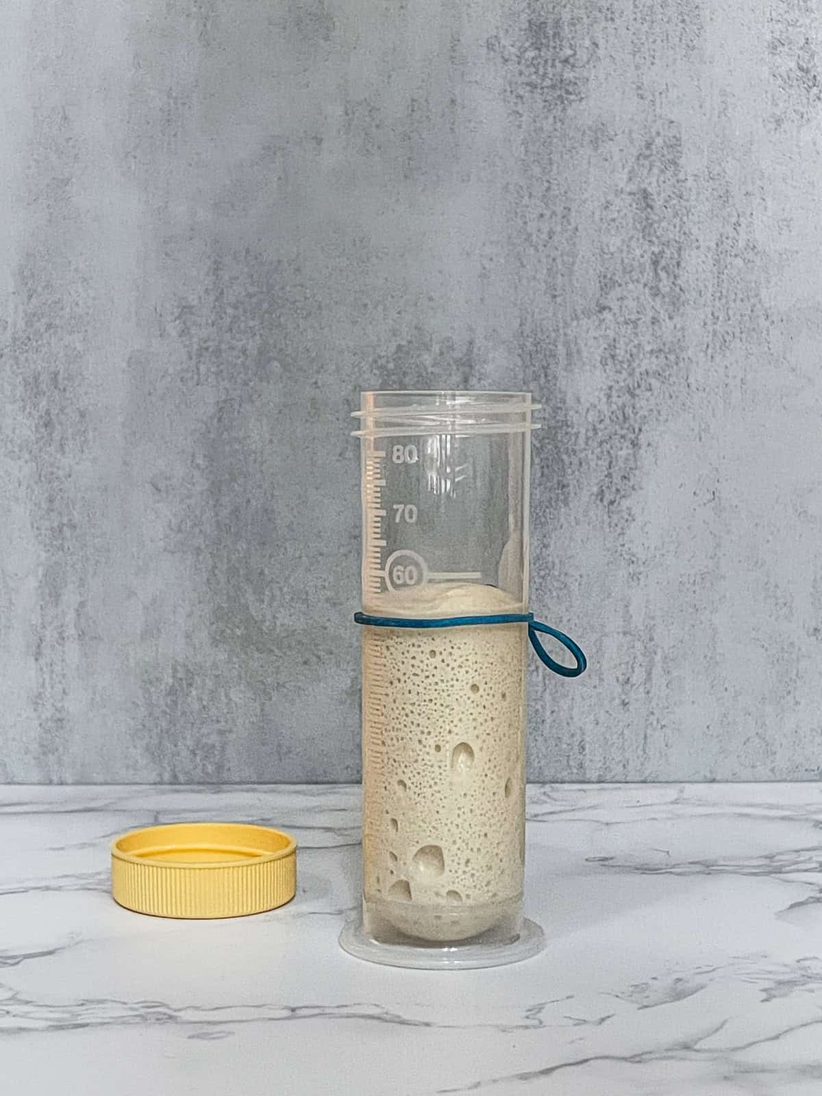 Aliquot jar with dough and a rubber band marking the target dough rise.