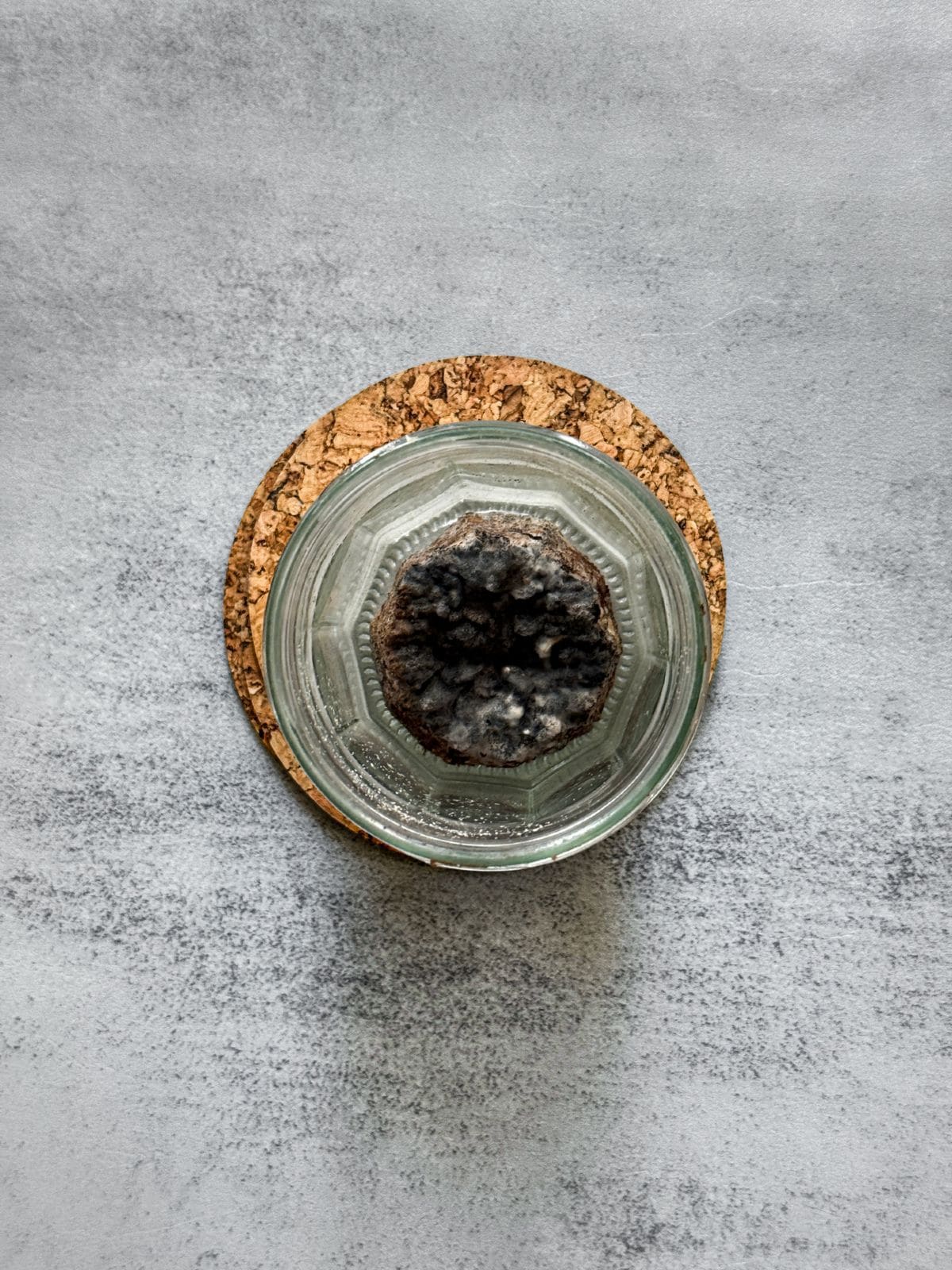 Black mold contamination on a neglected sourdough starter.