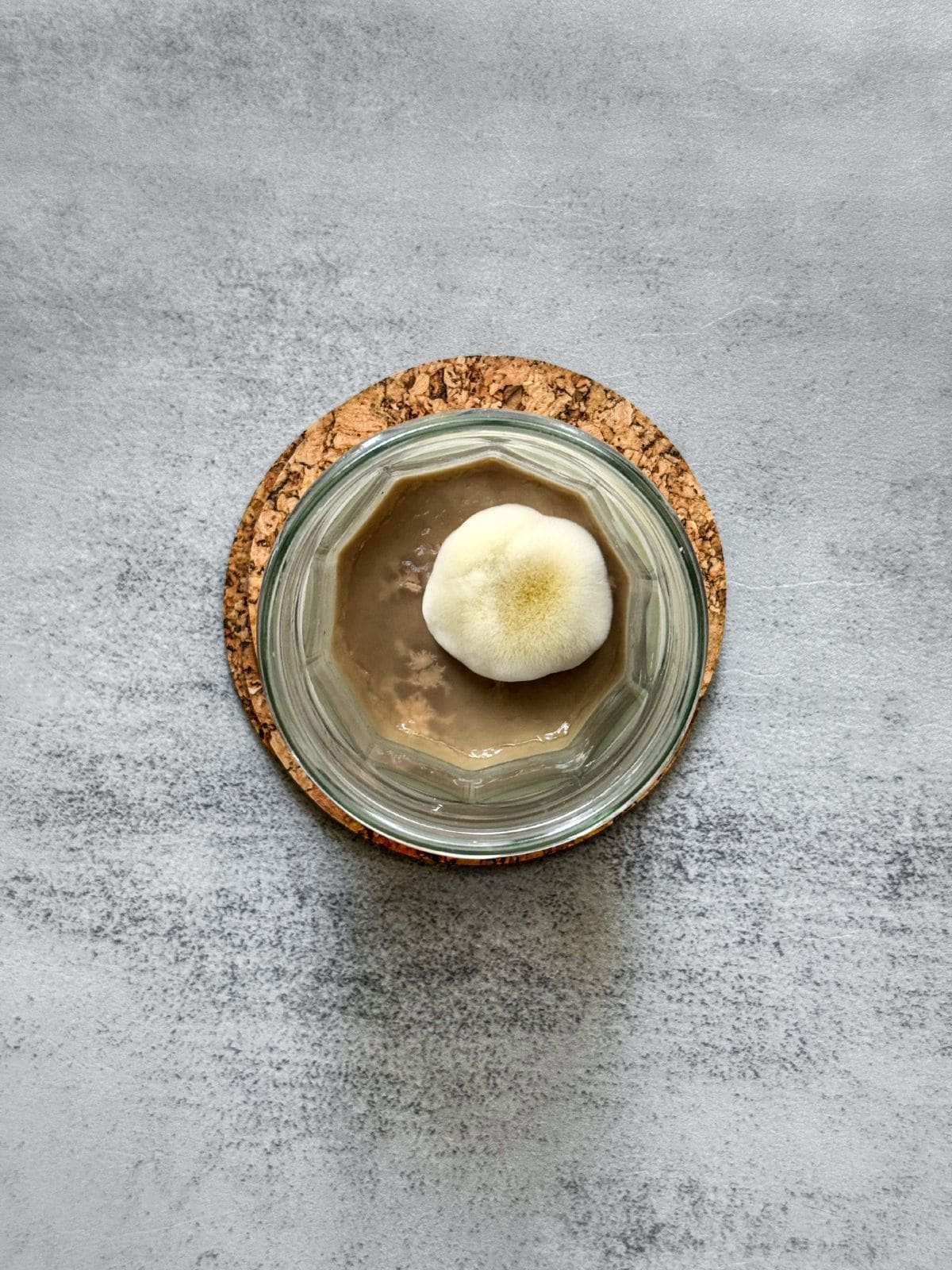 Contaminated moldy sourdough starter with white fuzzy growth on the surface in a glass jar.
