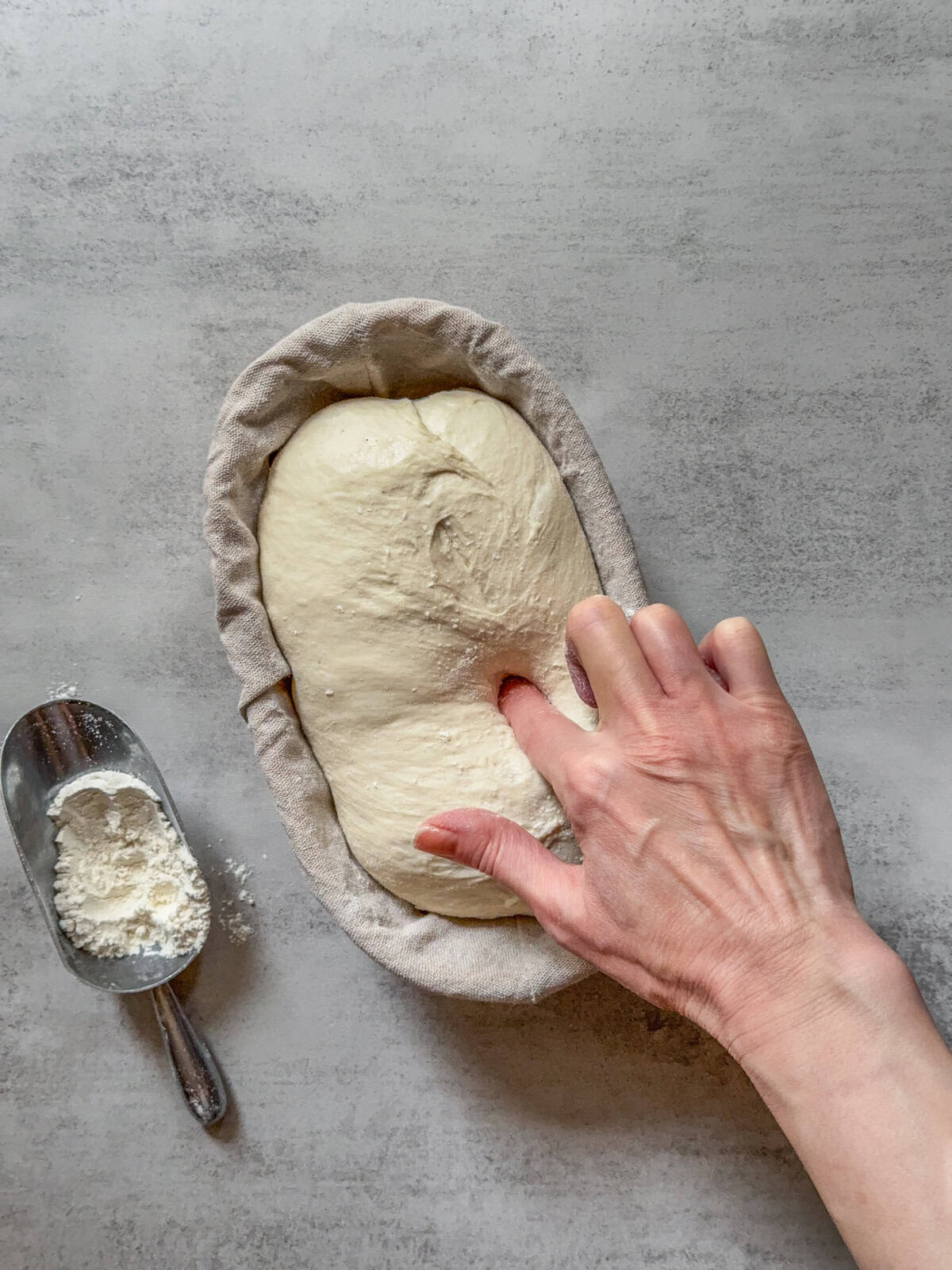 How To Tell If Dough Is Proofed Countertop Vs Cold Proofing