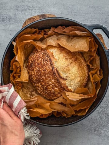 How to Make Sourdough More Sour: 12 Effective Tips – sourdoughtalk.com