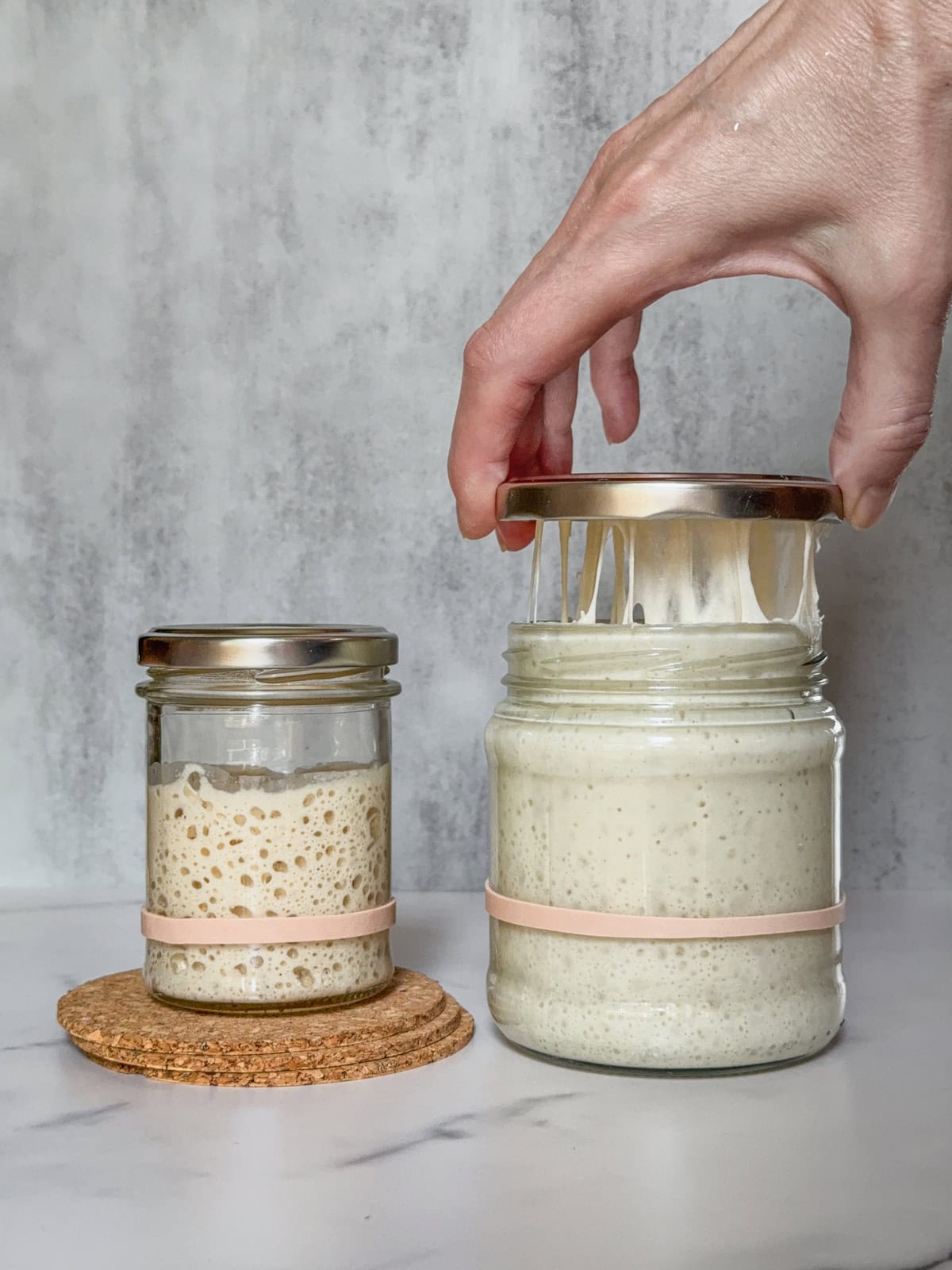 Sourdough starter and levain in jars, with a hand lifting the lid off the levain.