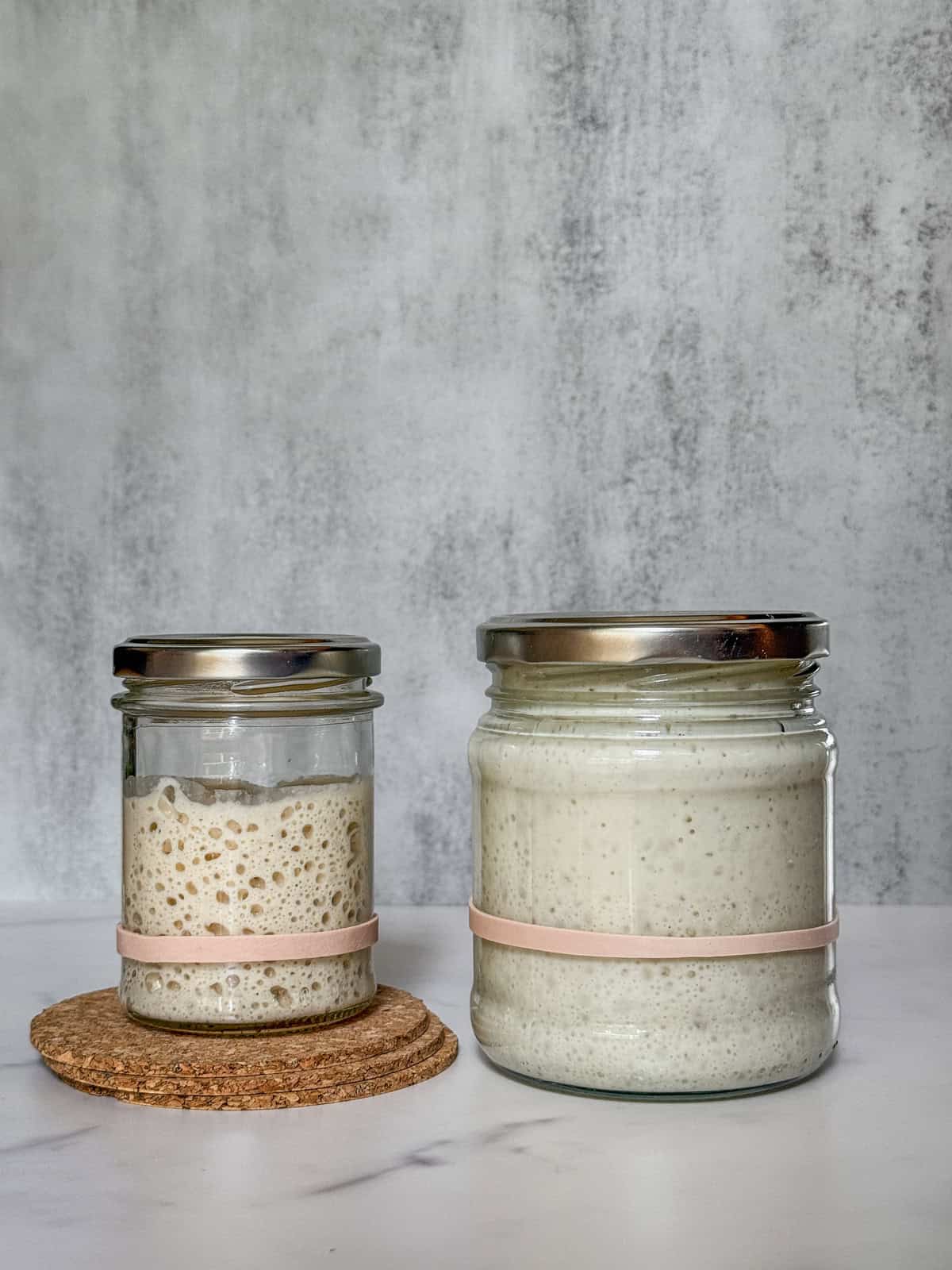 Scaling up sourdough starter: one jar with starter and another jar with levain.