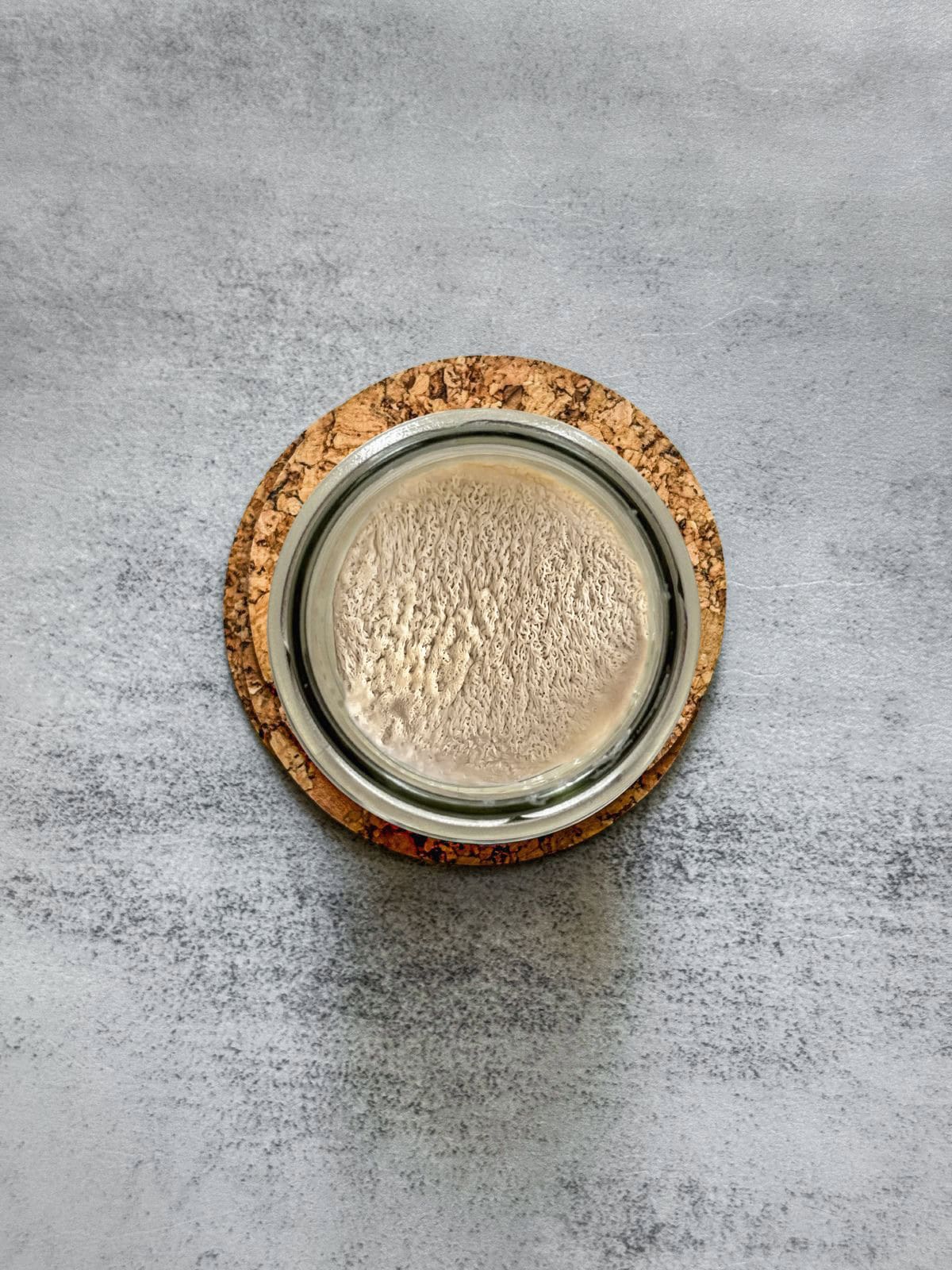 Sourdough starter with Kahm yeast on its surface.