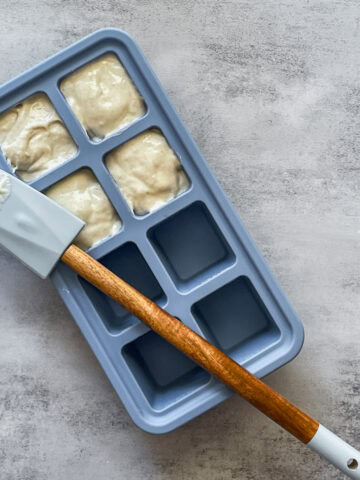 Sourdough discard in a plastic container with a spatula.