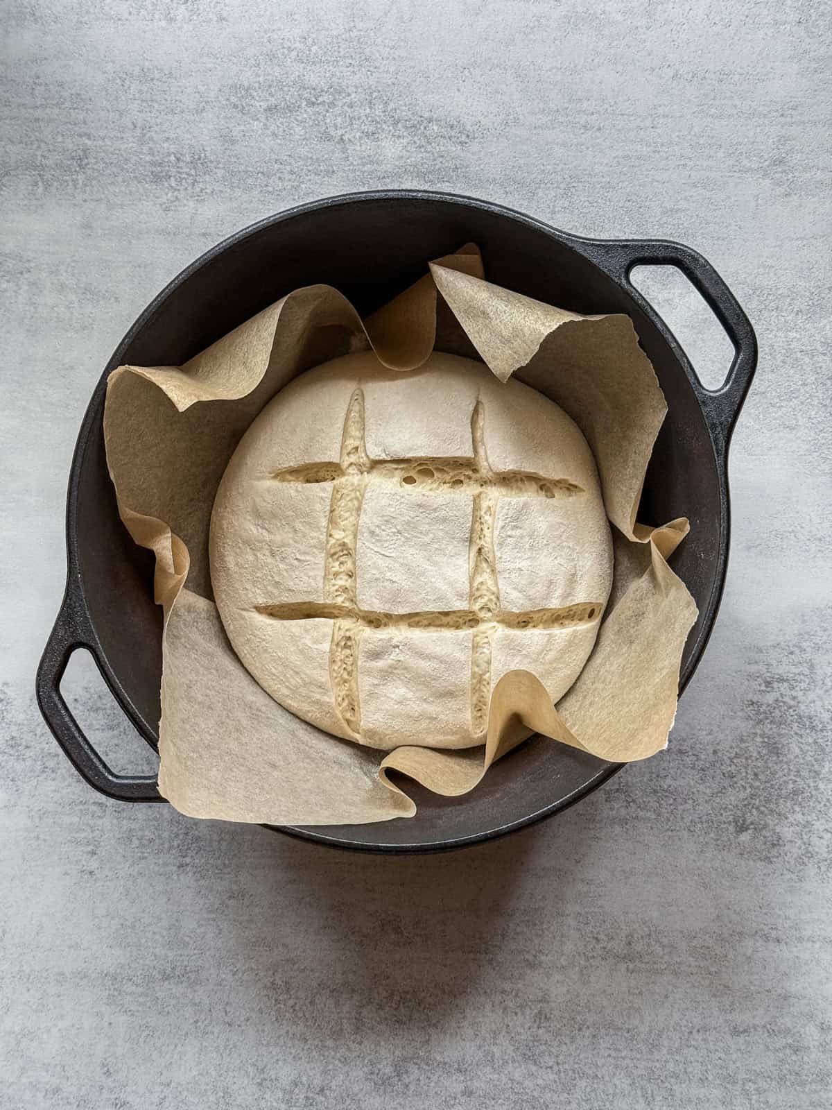 Square slash pattern on sourdough dough placed in a parchment-lined Dutch oven.