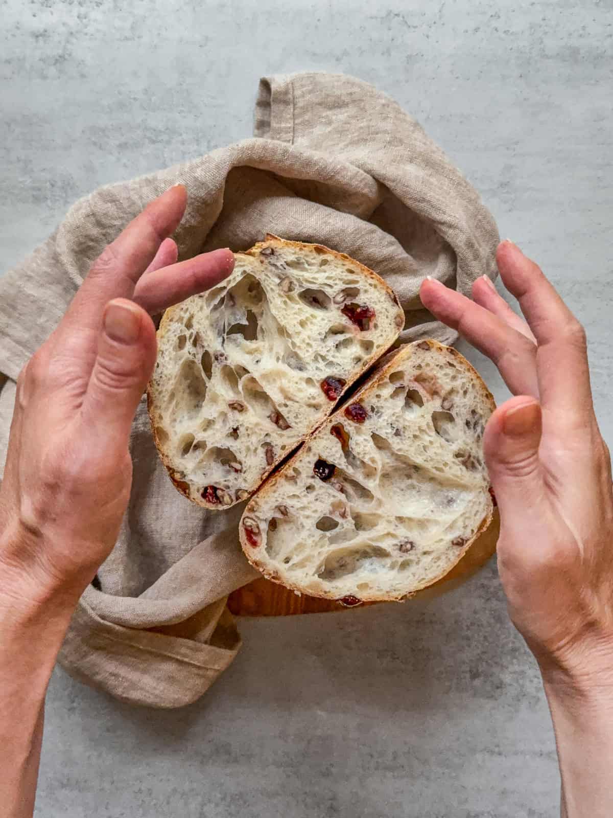 Halved cranberry walnut sourdough loaf held by hands, showing texture and walnuts